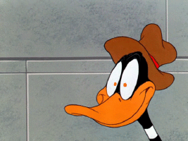 image.gif