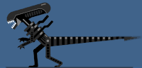 image.gif