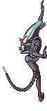 image.gif
