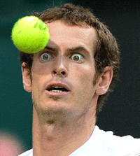 image.gif
