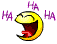 image.gif