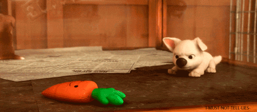 image.gif