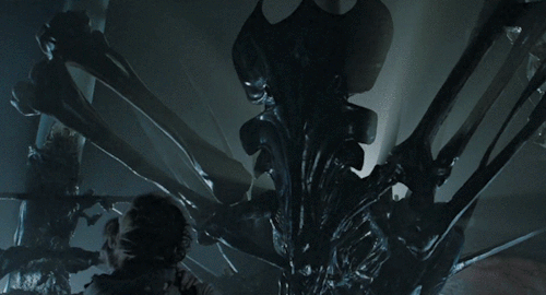 image.gif