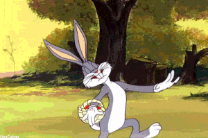 image.gif