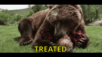 image.gif