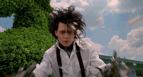 image.gif