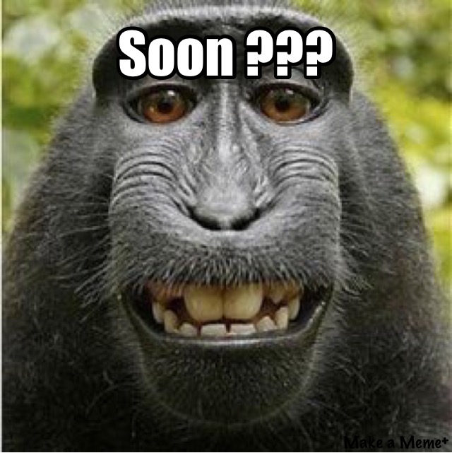 image.jpeg