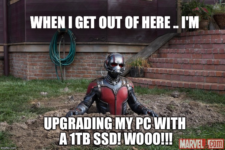 image.jpeg
