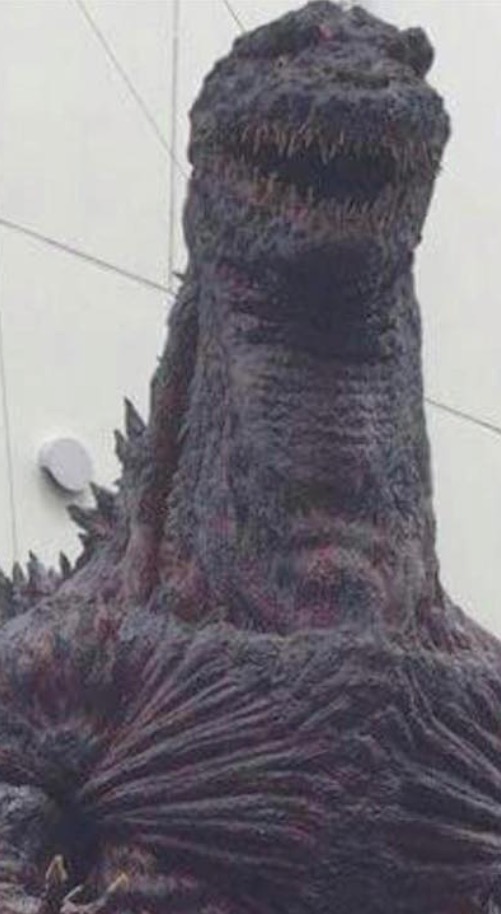 image.jpeg