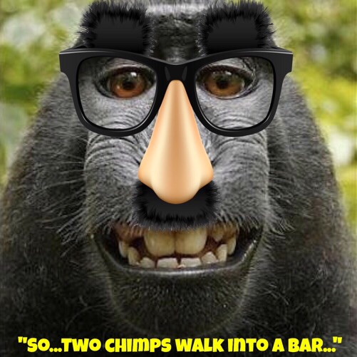 image.jpg