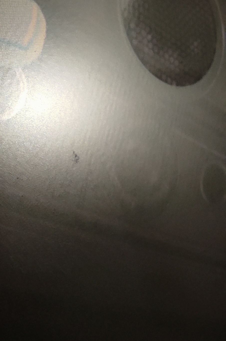 IMG_20231011_203258-01.jpeg
