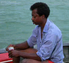 IMG_2329.GIF