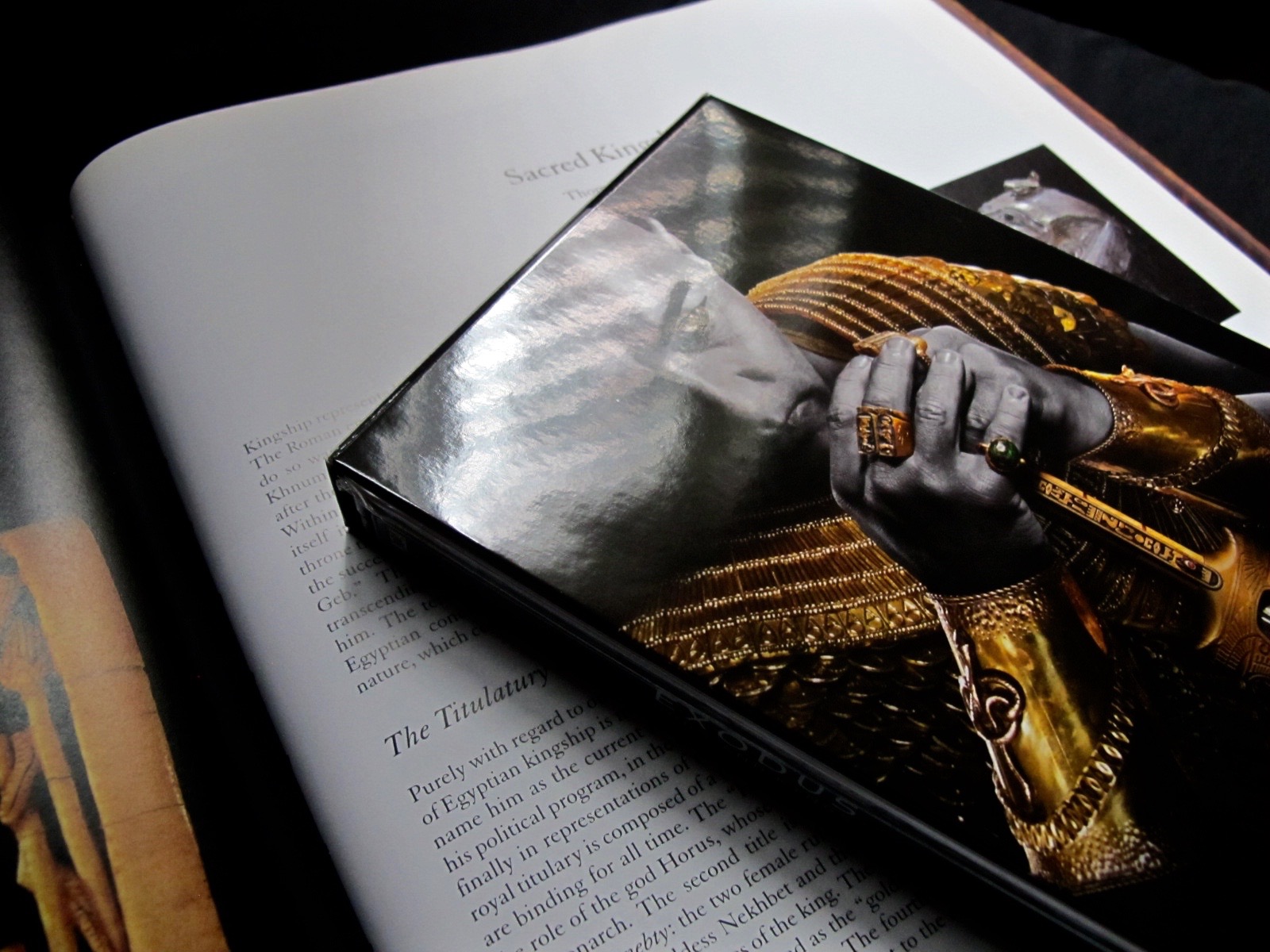 IMG_4240.jpg