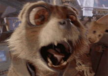 IMG_4740.gif