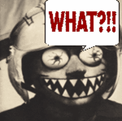 IMG_5529.GIF
