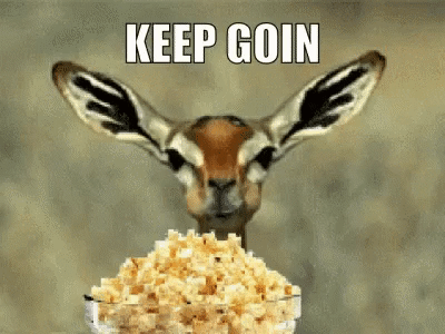 IMG_5739.GIF