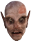 IMG_6135.PNG