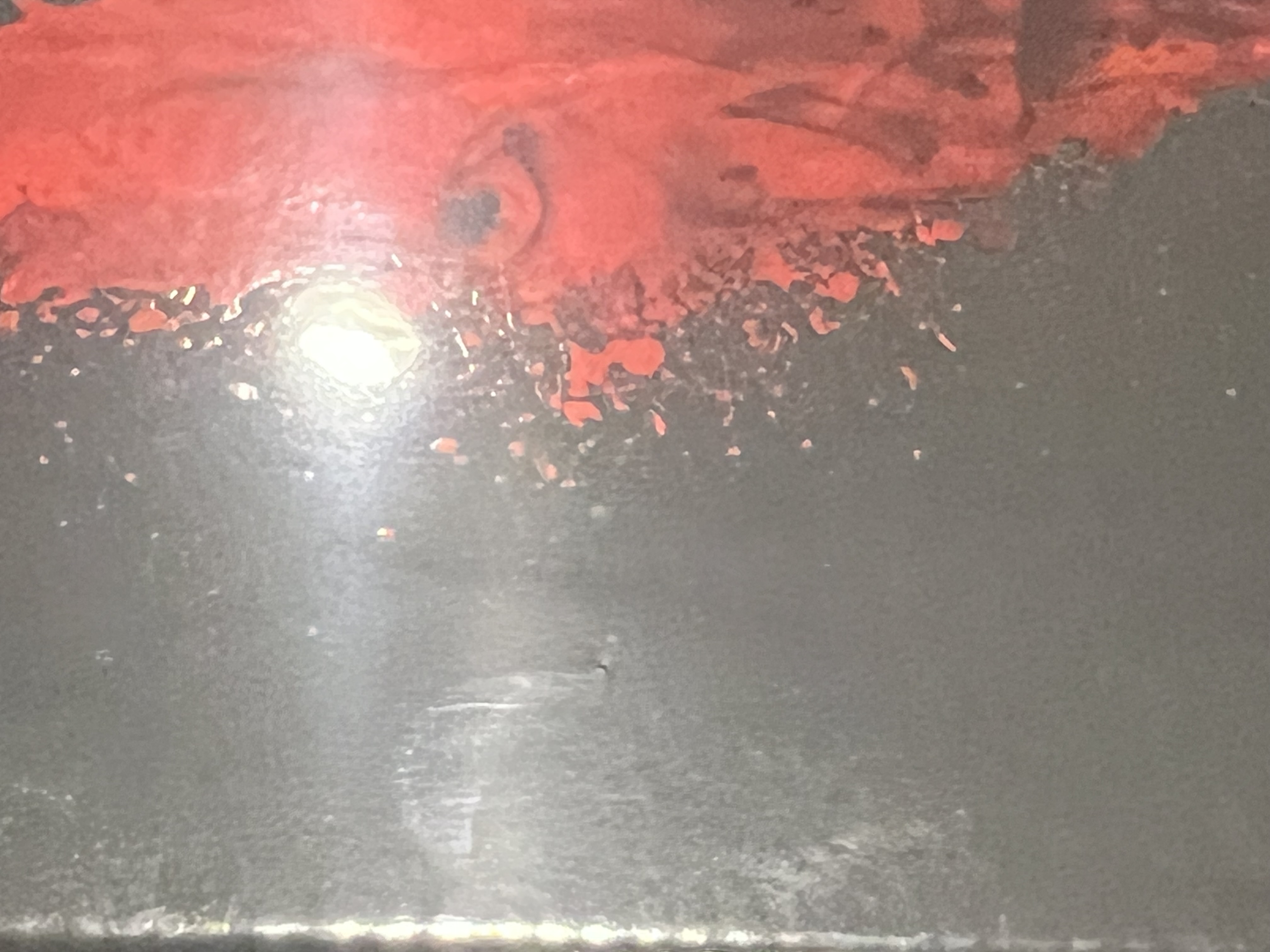 IMG_7716.jpeg