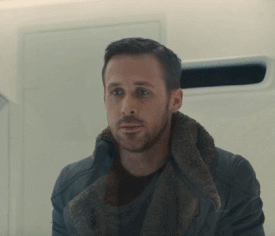 IMG_8305.gif