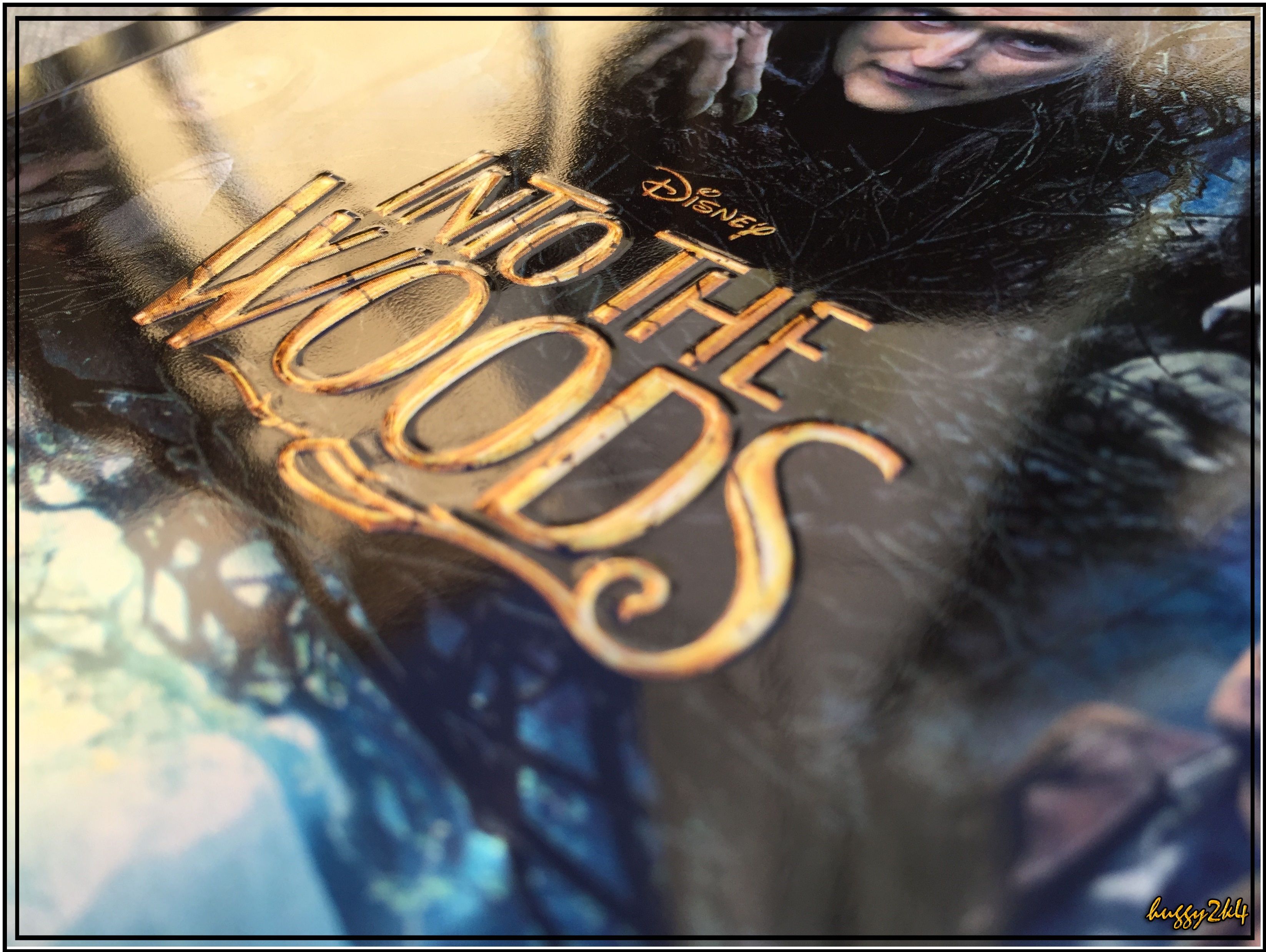 Into The Woods4.jpg
