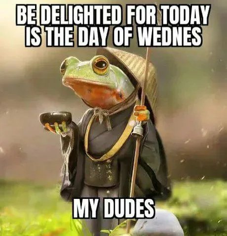 It-is-Wednes-my-dudes.jpg