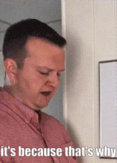 it's-because-that's-why-that's-why.gif