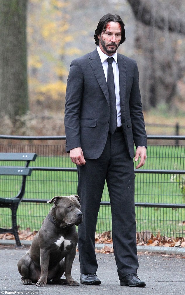 John-Wick-Pit-Bull.jpg