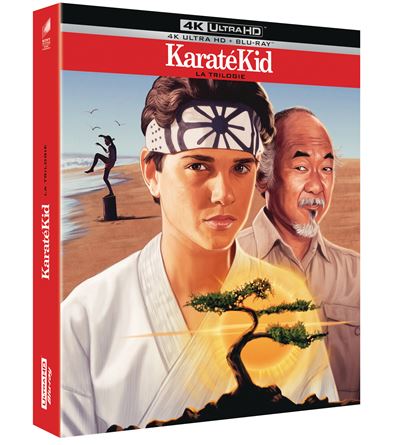 Karate-Kid-Coffret-Edition-Speciale-Fnac-Blu-ray-4K-Ultra-HD.jpg