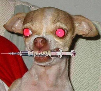 killer-dog.jpg