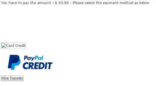 KimchiDVD payment method selection 2.jpg