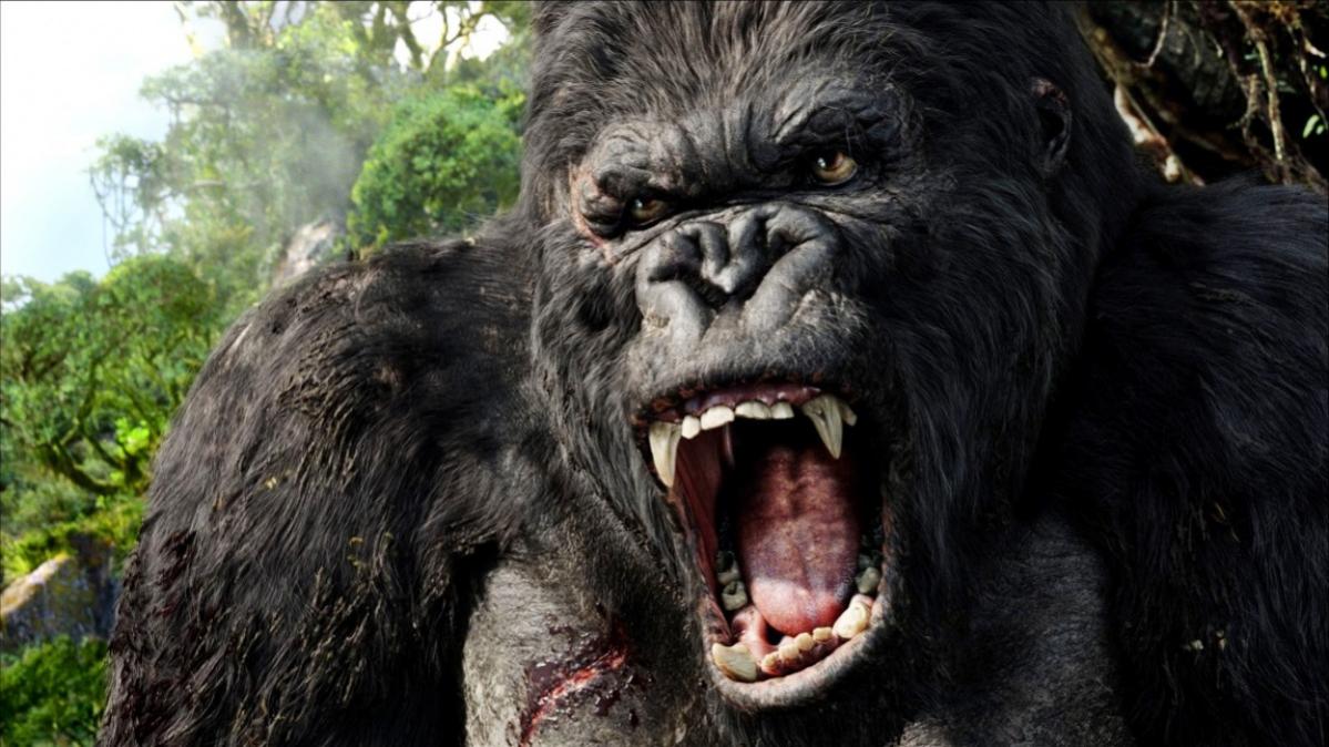 king-kong-2005-30-g.jpg