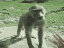 kiss this.gif