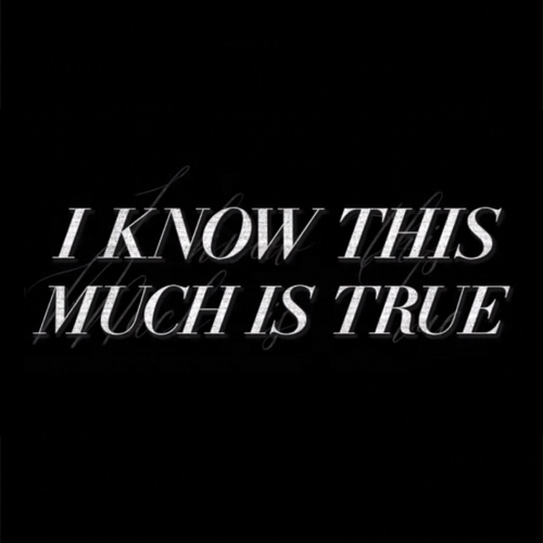 Upcoming I Know This Much Is True Limited Series Hbo Hi