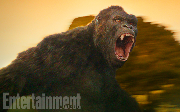 kong.jpg