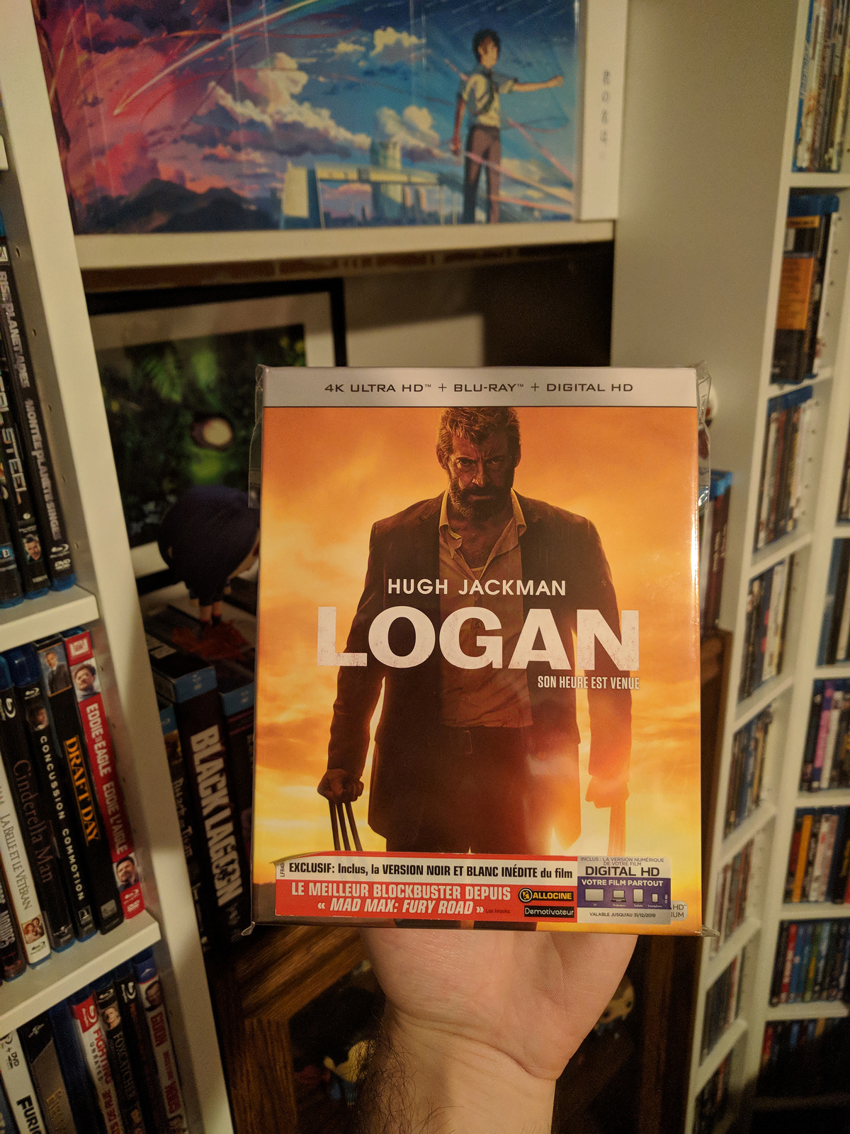 Logan.jpg