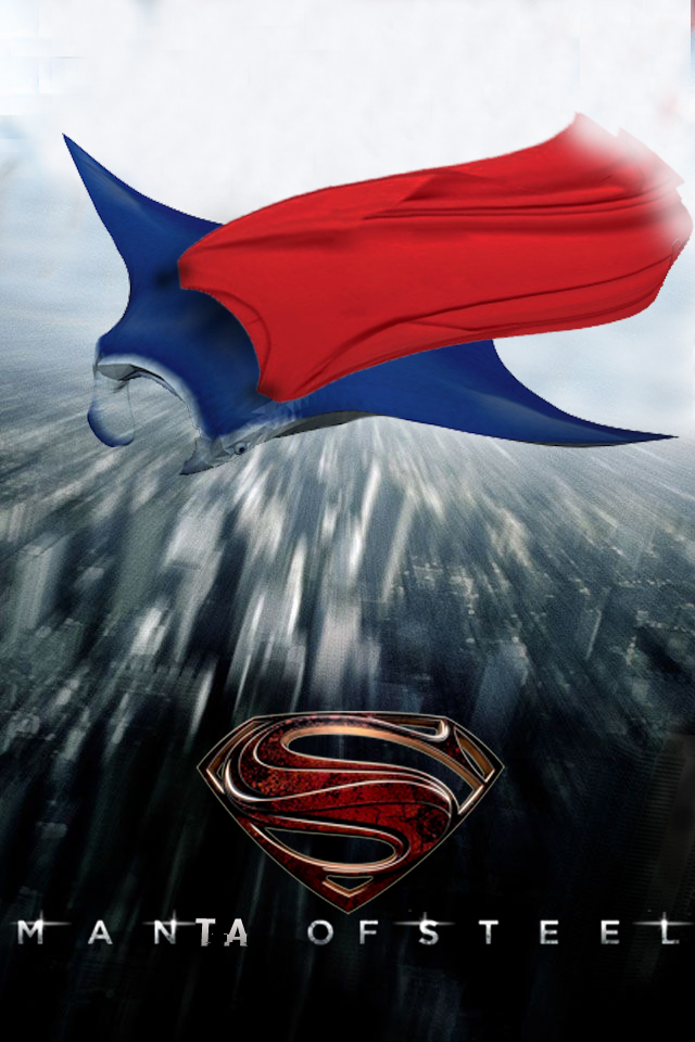 mantaofsteelbook.jpg