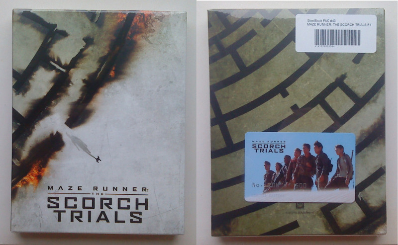 Maze Runner 2 FAC.jpg