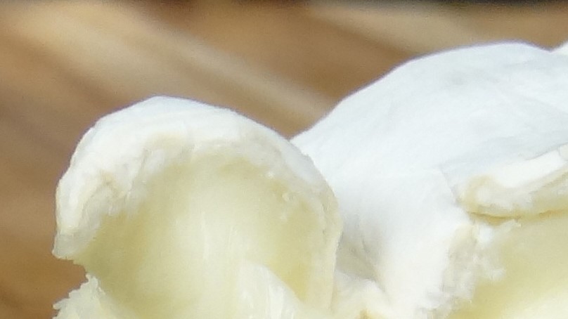meatorcheese1.jpg