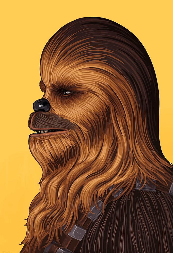 Mitchell_Chewbacca_FINALpromo_1024x1024.jpg