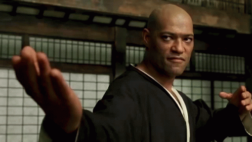 morpheus-matrix-fight.gif