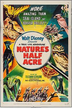 Movie-Poster-Nature-s-Half-Acre-1951-27x41-VF-7-0-Walt-Disney-Winston-Hibler-01-fb.jpg