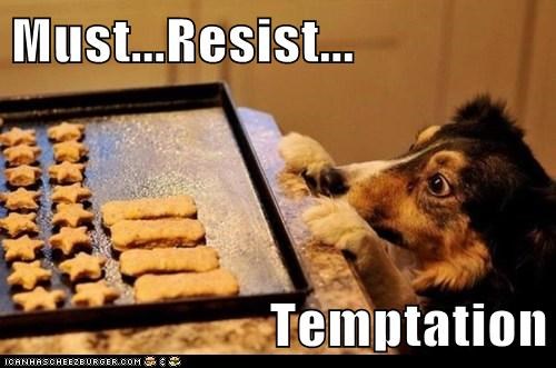 must resist.jpg