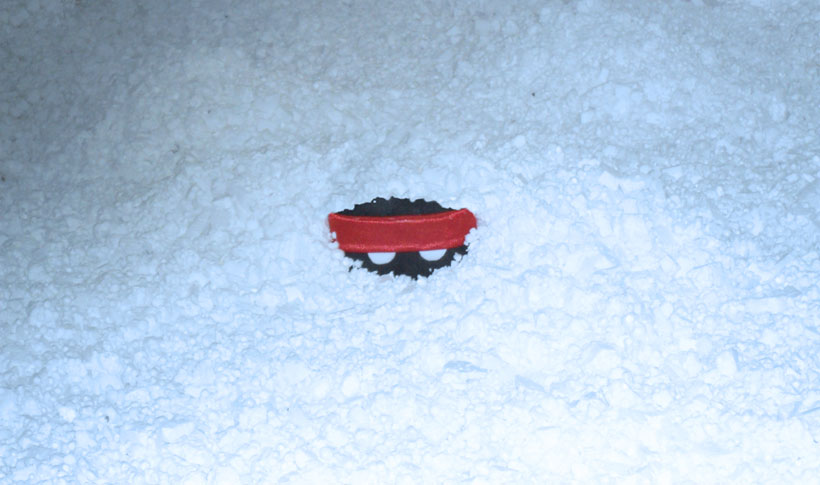 NinjaSnow.jpg