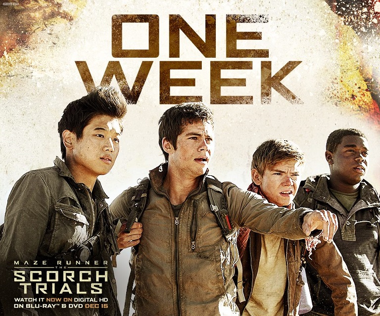 One Week!.jpg
