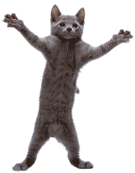 original.gif