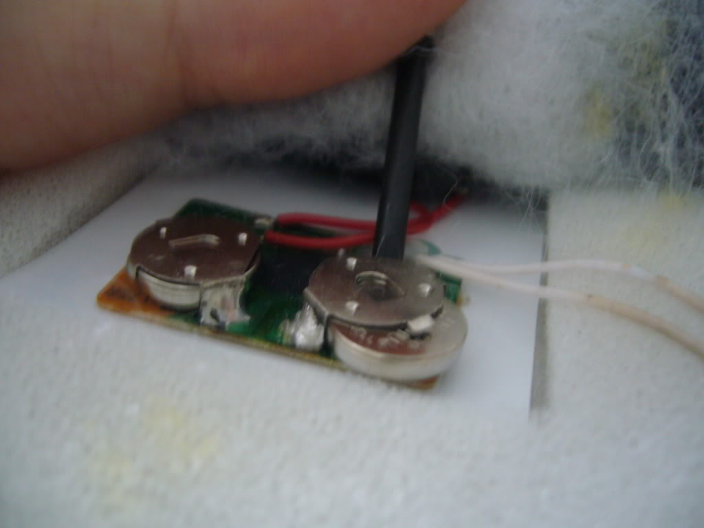 P1020151.jpg
