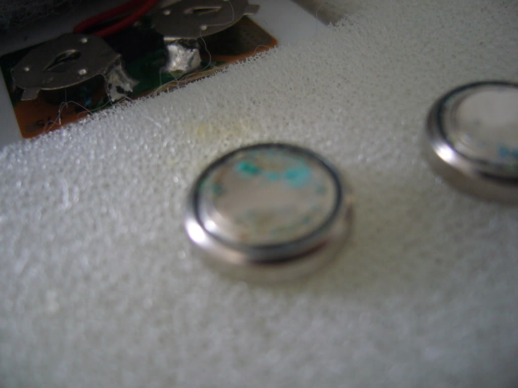 P1020154.jpg
