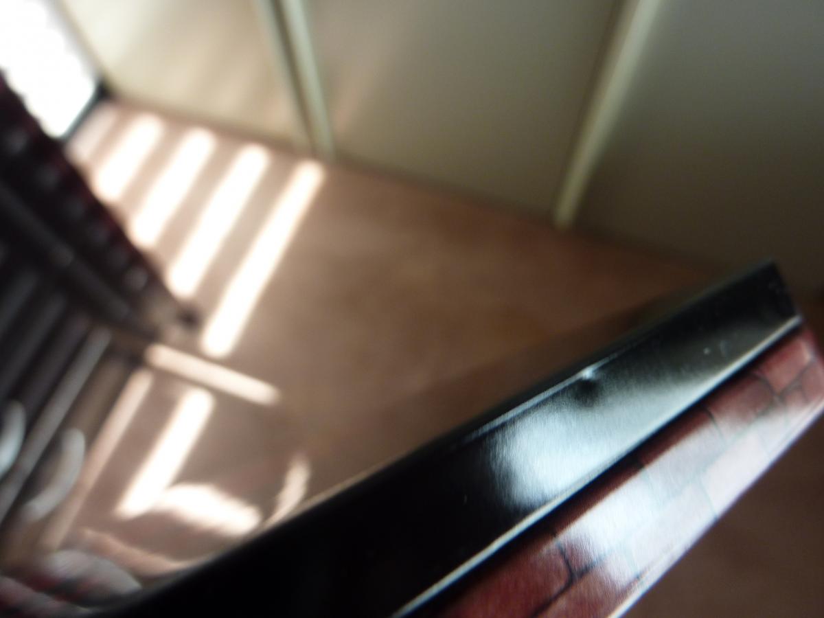 P1020313.jpg