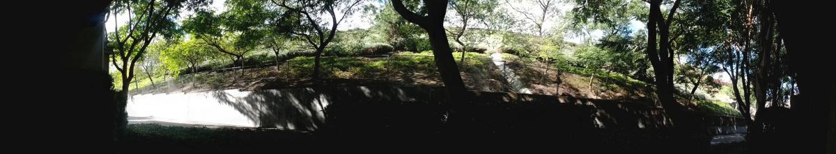 PANO_20130209_103558.jpg