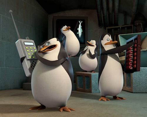 penguins.jpg